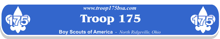Troop 175