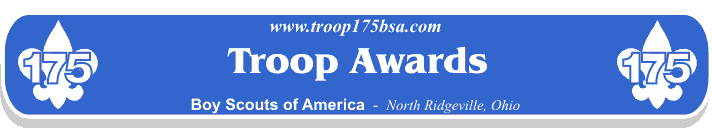 Troop Awards